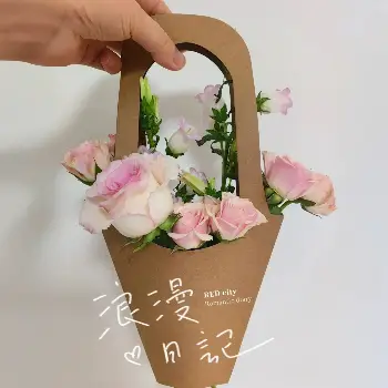 立體包裝提袋5入